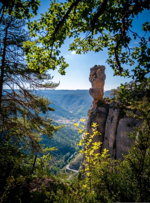 Causses noirs aux alentours du Domaine du Charouzech, gîte en Occitanie