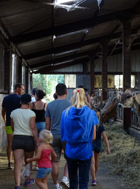 Visites guidées de la ferme en Aveyron du Domaine du Charouzech