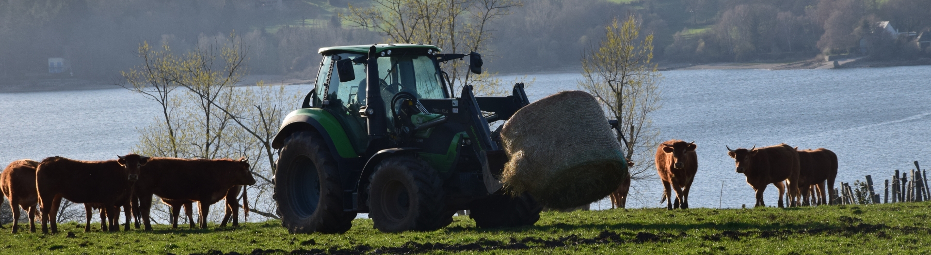 Tracteur de la ferme en Aveyron du Domaine du Charouzech